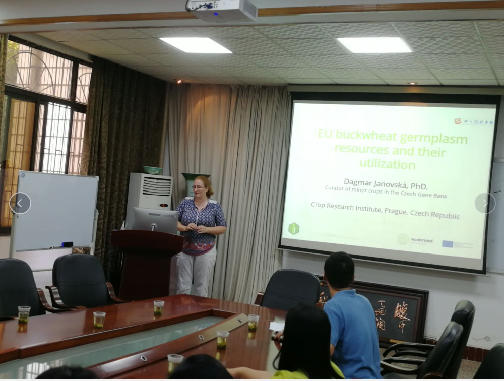 1936aebc0a704ebeac489d5ad45aa3fd.png 1936aebc0a704ebeac489d5ad45aa3fd.png