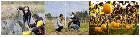 e3510c868bed40b1be1b62746a69e0ff.png image.png