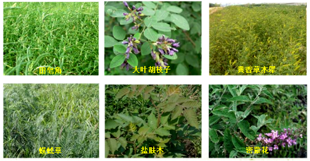 9d94103b0a90469fb21a4645bb3b6a9c.png image.png