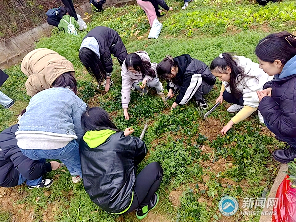 e4e8910bf4024a53b6f2be8edd339272.jpg 1.jpg