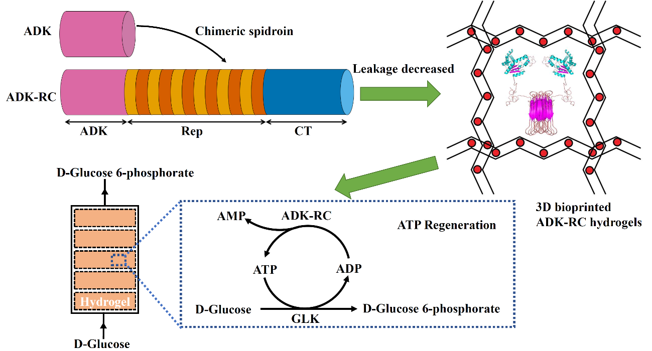 6aa9624396c945f6a35a4495b7578741.png 6aa9624396c945f6a35a4495b7578741.png