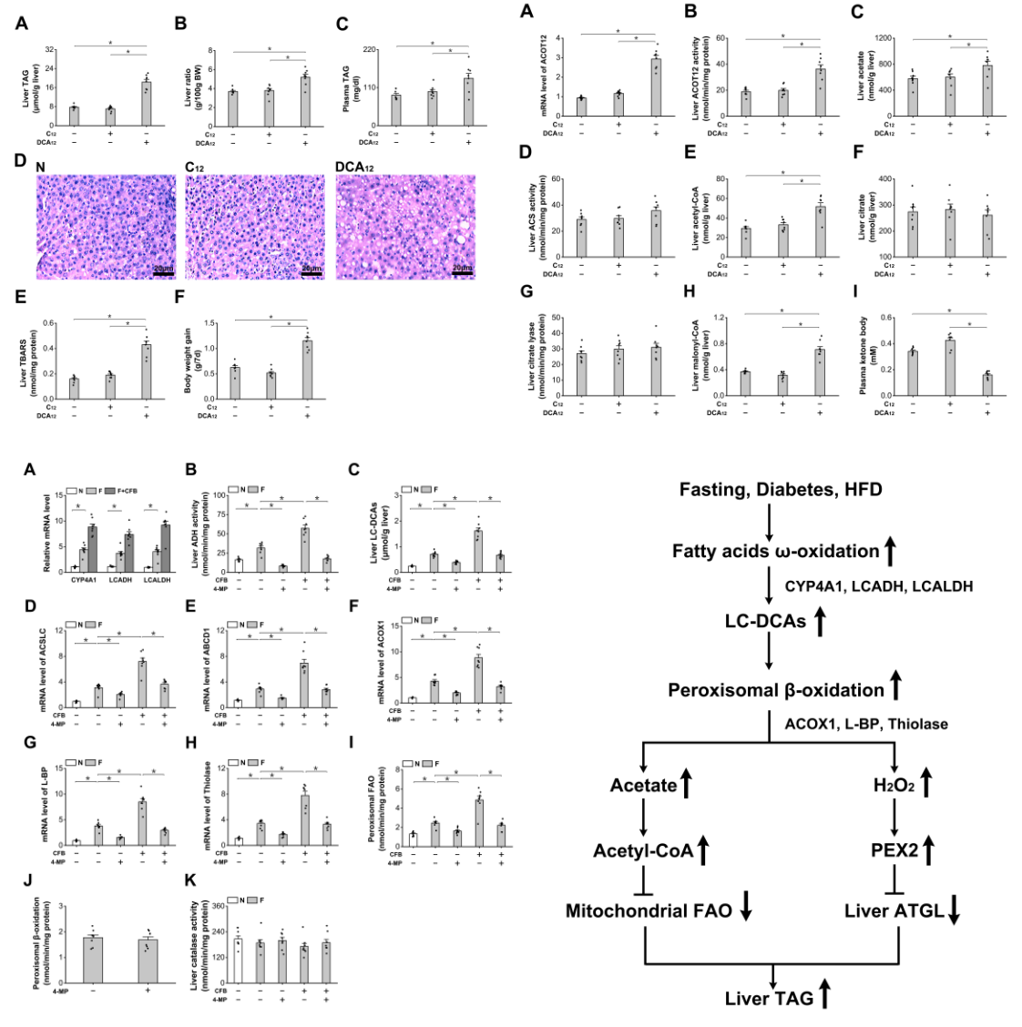 a6eff6ea12894b6099f8e8a237b80526.png a6eff6ea12894b6099f8e8a237b80526.png