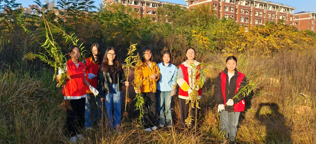 8ffda92458ac4f3099749ccd23528ac8.png 8ffda92458ac4f3099749ccd23528ac8.png