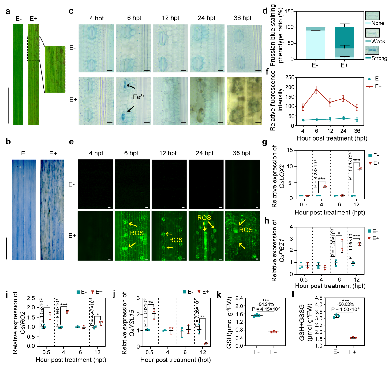 7a368598ed1b4437994ddaef48b5e013.png 7a368598ed1b4437994ddaef48b5e013.png
